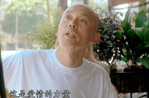 梁朝伟爆料丁克视频全集,视频全集深度解析  第3张